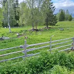 Paljarinne - Ukkohallan Hissiliput 2 Kpl Sisaeltyy Hintaan *