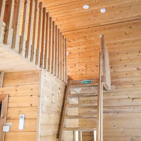 Paljarinne - Ukkohallan Hissiliput 2 Kpl Sisaeltyy Hintaan Paljakka