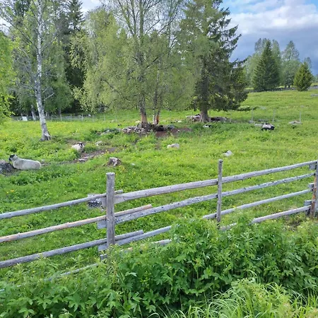 Paljarinne - Ukkohallan Hissiliput 2 Kpl Sisaeltyy Hintaan *