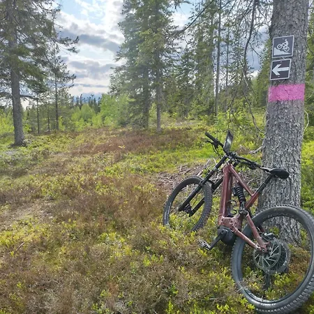 Paljarinne - Ukkohallan Hissiliput 2 Kpl Sisaeltyy Hintaan Σπίτι διακοπών Hulmi